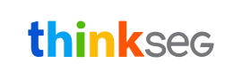 thinksegbr Logo